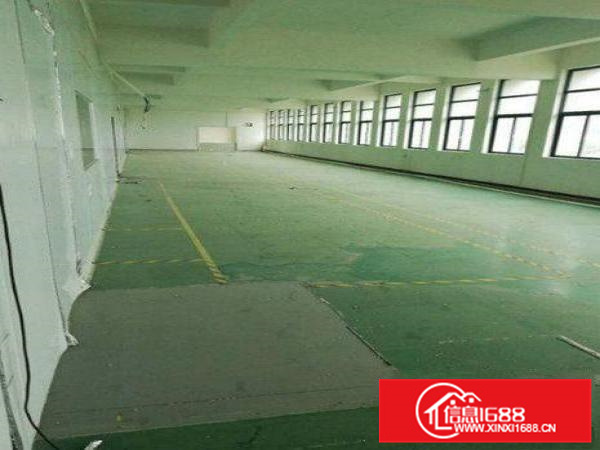 惠州新墟1800平方楼层水泥结构双货梯