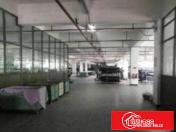 高埗新出独院标准楼上2楼整层2700平方厂房带现成装修出租