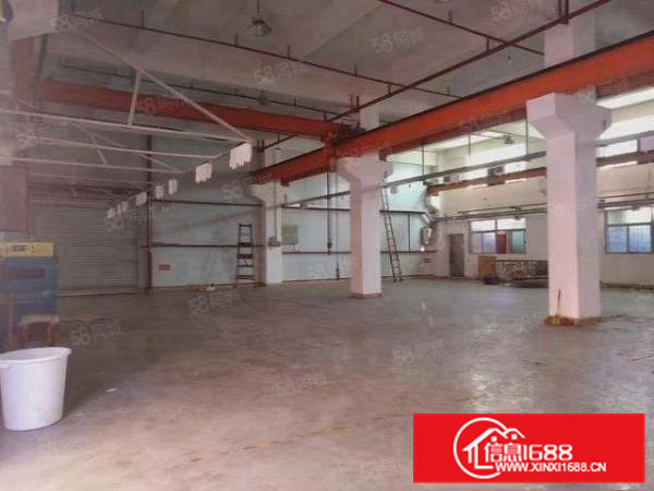 凤岗金凤凰新出一楼标准厂房1200平，6.5高带牛角拎包入住