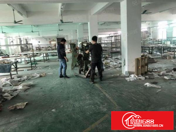 凤岗浸校塘工业区新出原房东独院10000平厂房出租500平起