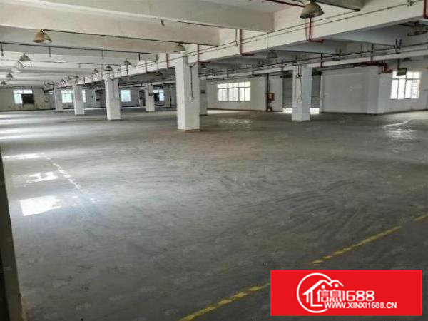 横沥水边单层面积1250平方厂房出租可分组