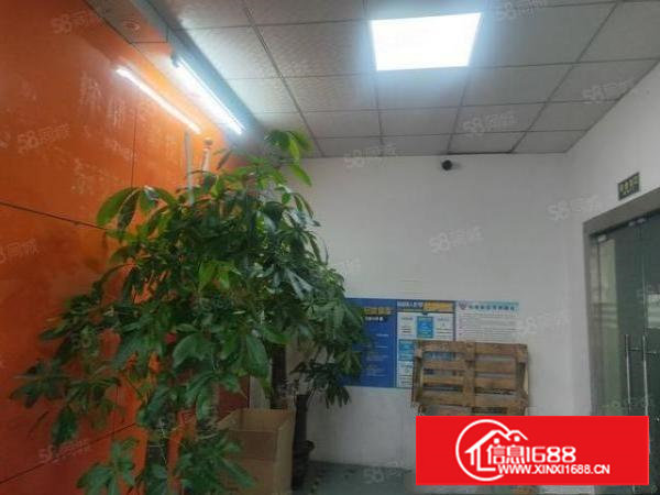 长安镇沙头楼上300平方精装修厂房，两个办公室独立洗手