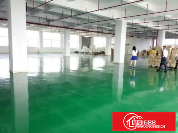 招工易！荷城公正路空出1楼1700平方厂房出租