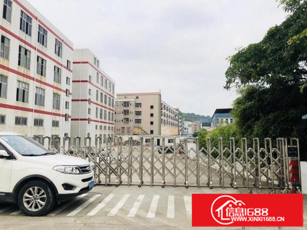 横岗水官高速口原房东16000平独院厂房出租