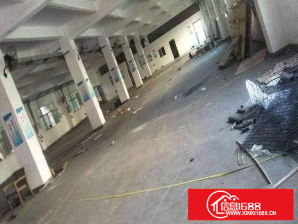 清溪大利管理区刚空出楼上2300平可做电池厂房