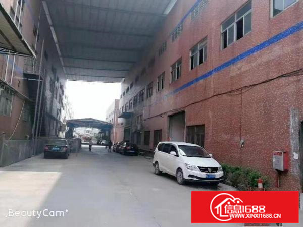 大岭山新出标准厂房出租