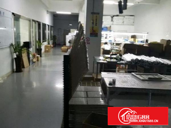 自己租的，部分办公室和车间出租。我们做灯具和广告灯条。