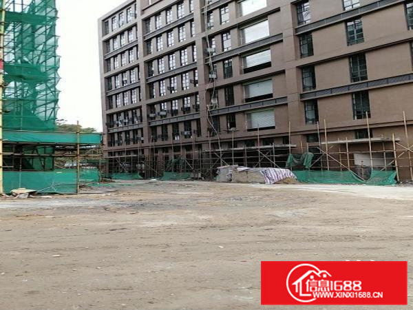 东莞市原房东一手厂房（实际面积，没有公摊）出租，一手业主厂房