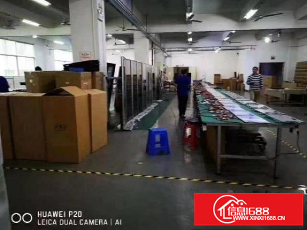 观澜樟阁2400平方厂房