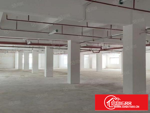 石碣标准工业区厂房二楼1500平方3吨标准电梯可办环评