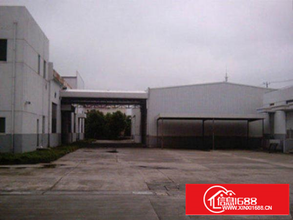 万江独院单一层钢构厂房出租2500平出租可分租空地大