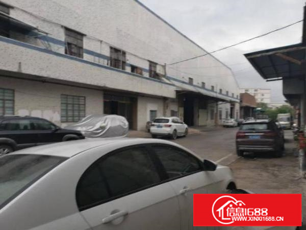 河滘工业区2700平米钢构出租