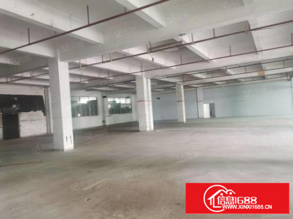 寮步下岭贝新出原房东一楼2000平实际面积低价出租