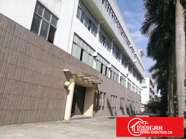 坂田杨美地铁旁办公室钢结构厂房80平米起租