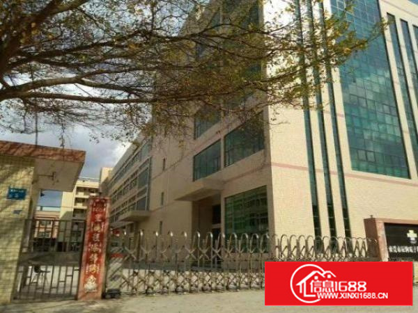 标准2楼出租，水电办公齐全