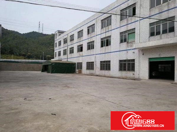 坪山碧岭独院厂房6500平米空地2500平米全出租
