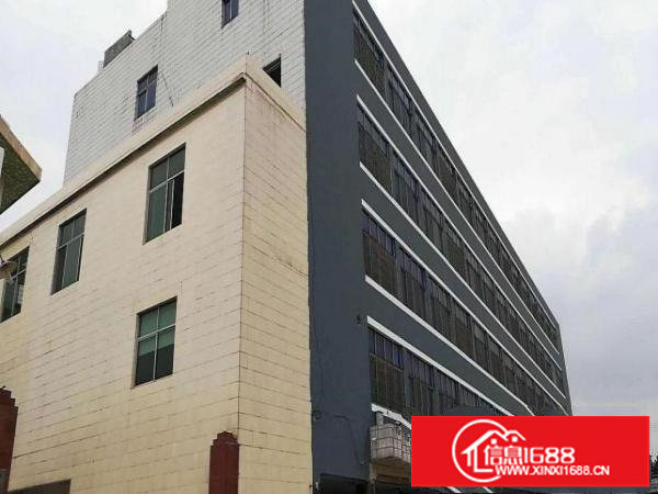 坪山石井独院厂房4000平方已空置，原房东