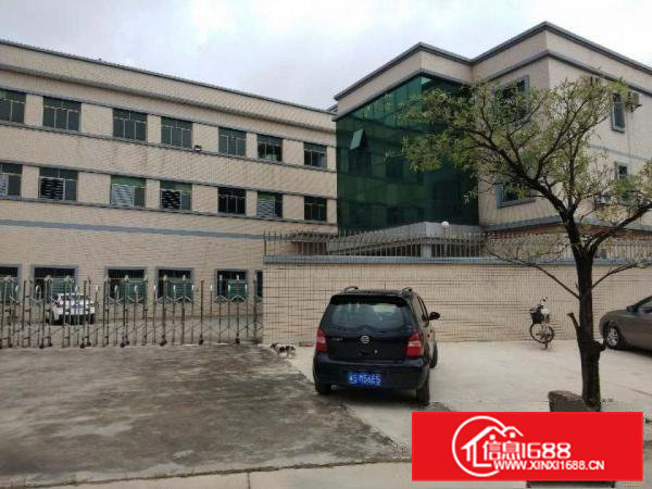 横沥镇新出原房东标准独院厂房，一楼6米高，可分租