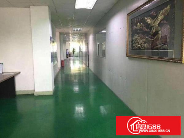 石鼓新出楼上现成无尘车间1700平无公滩可直接进场