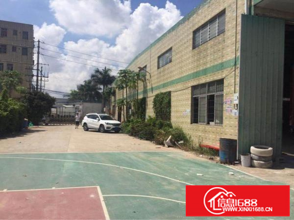 新圩新出可做污染行业厂房7000平方出租可分租