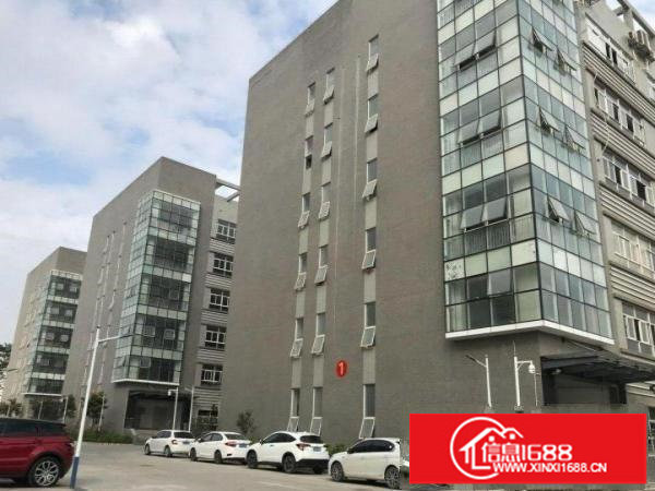 龙岗龙西小学旁原房东650平带精装修标准厂房出租