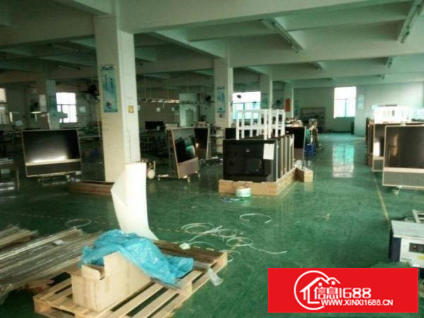 横沥半仙山新出标准一楼和楼上700平米带装修出租