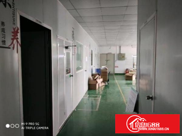 黄麻布新出带装修660平米，760平米厂房招租