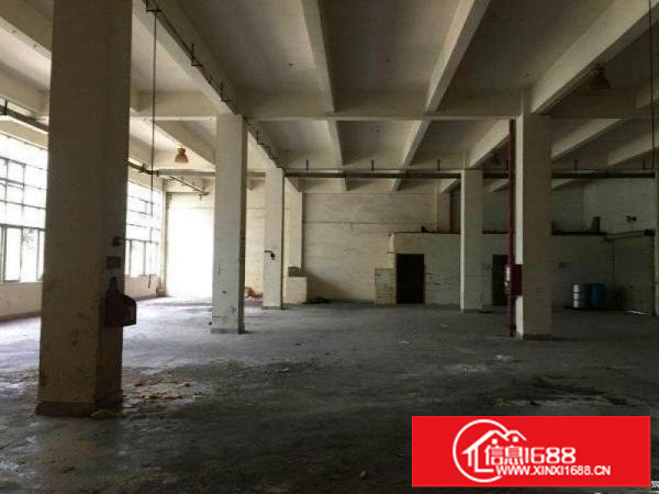 横岗安良沙荷路大型工业区一楼800平高6米