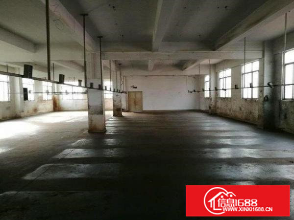 凤岗新出4层独院厂房底价出租