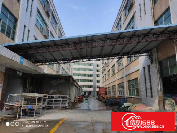 龙岗北通道边原房东红本独院厂房15500平，可分租