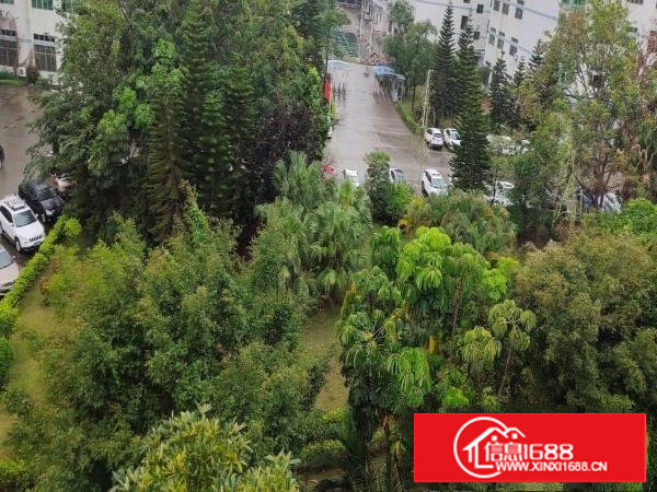 优质厂房出租，一楼，面积1500平米