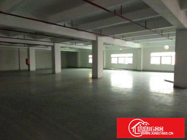 布吉甘坑新出（原房东）2000平厂房6米高带地坪漆消防喷淋