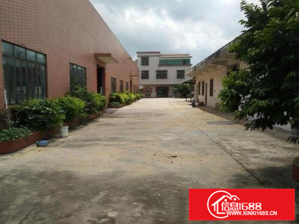 独门独院单一层1200平砖墙到顶厂房可分可整