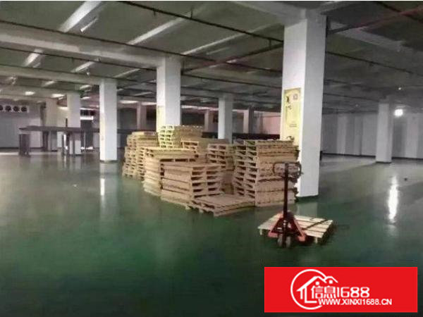 龙岗区宝龙1000平6米高一楼原房东招租