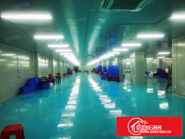 塘厦科苑城楼上1000平方适合电商加工