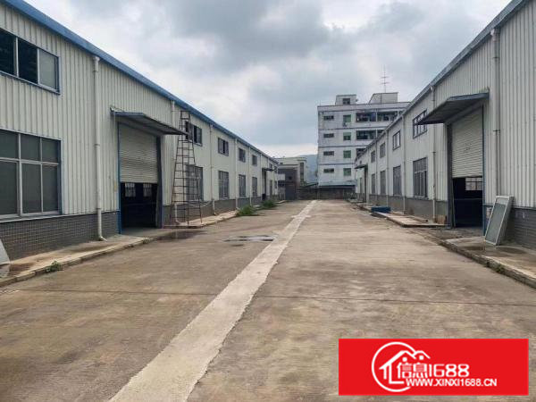 清溪独院钢构厂房出租2栋2700平米出租滴水7米可分租