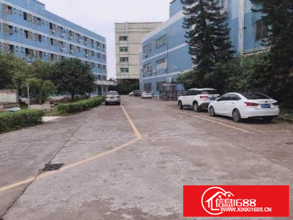 龙岗龙西，原房东楼上1200平精装修厂房出租