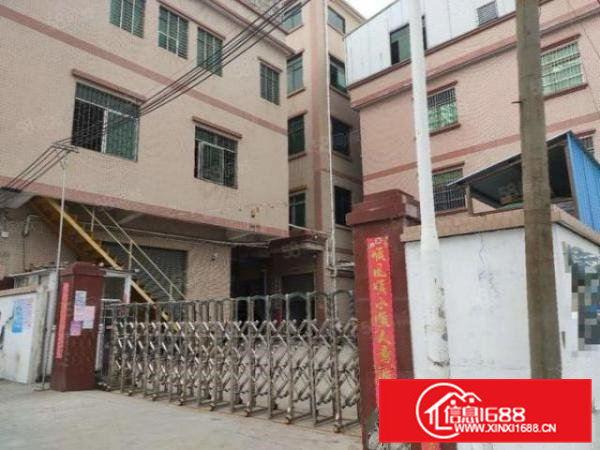 石排原房东标准厂房5800方出租，适合各行业，精装办公室！