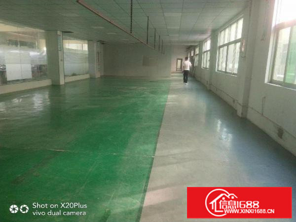 清溪低价漂亮厂房招租二楼标准厂房1200平只要11块钱