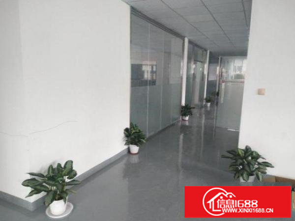 坪山六联新出二楼标准厂房带精装修办公室500平地坪漆车间