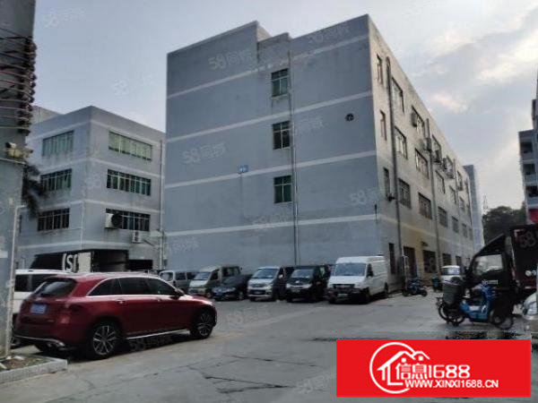 布吉丹竹头地铁附近原房东直租1500平红本厂房