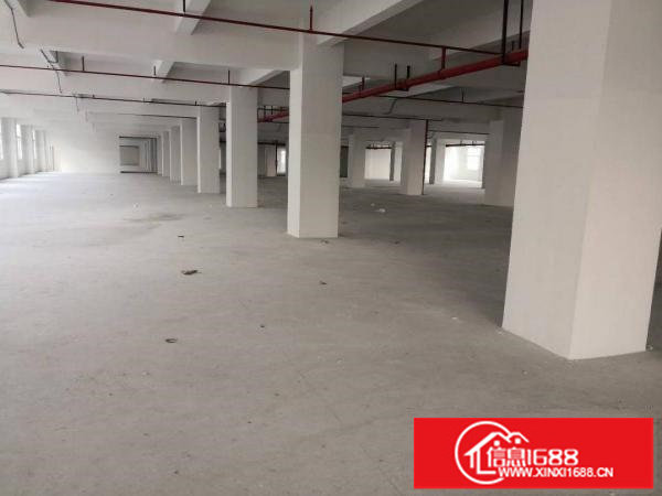 平湖华南城附近原业主厂房4600平方招租