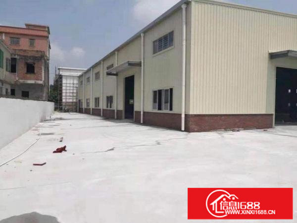 企石独门独院钢构厂房6000平方