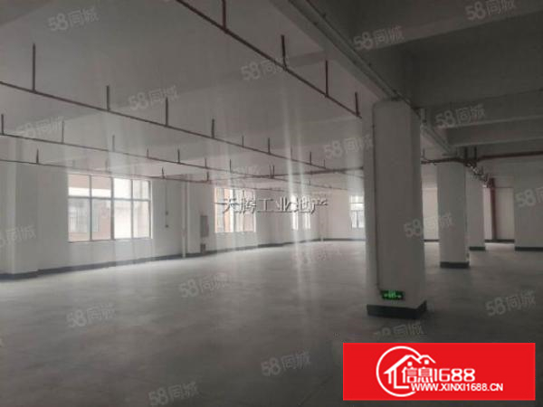 全新厂房面积2600方，中高9米，滴水8米钢结构