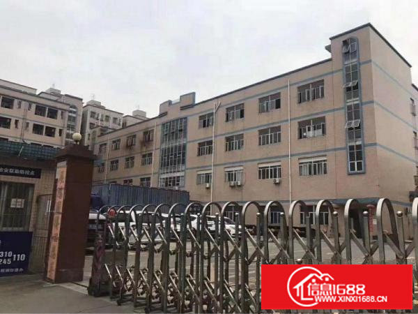 龙华原房东带红本独院7200平，租期5年