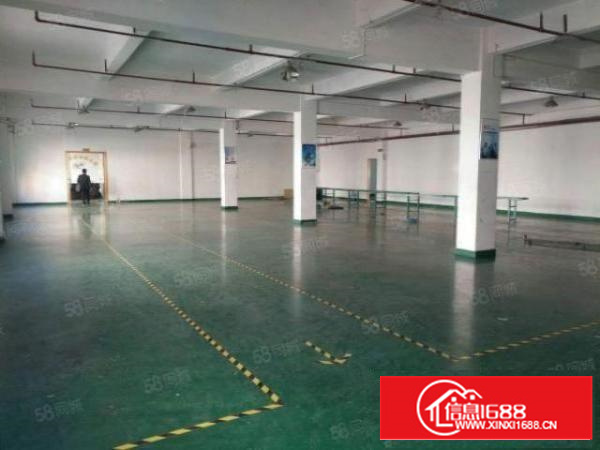 茶山镇原房东独院厂房3400平方出租，主干道边上