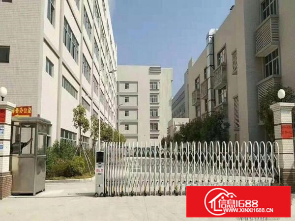 仲恺沥林原房东独门独院5层16000平米出租