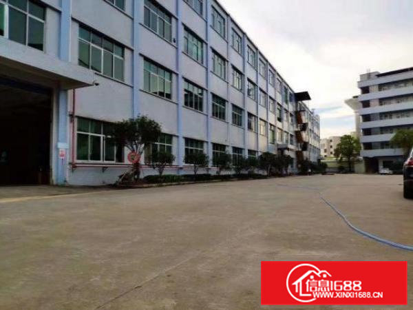 高埗镇冼沙独院标准厂房45600平大小可分租