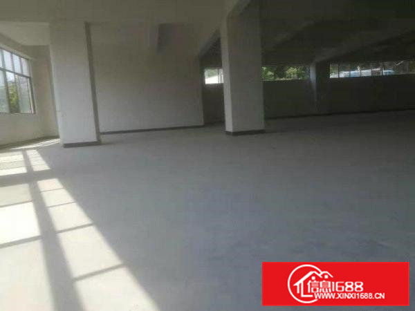 虎门赤岗，实用空间2400平，环境优美水电齐全