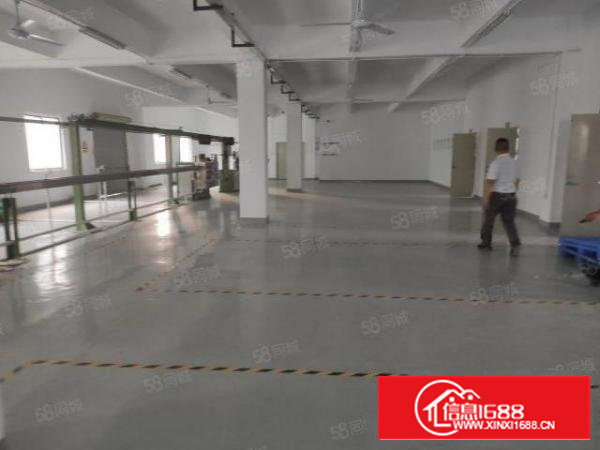 沙井新出厂房400平600平800平1100平